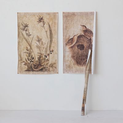 Vintage Reproduction Paper Bird Print Set of 3