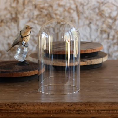 Vintage Style Simple Glass Display Dome 9.5 Inch