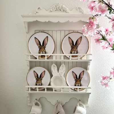 Wall Mount Dish Display Rack With Hooks