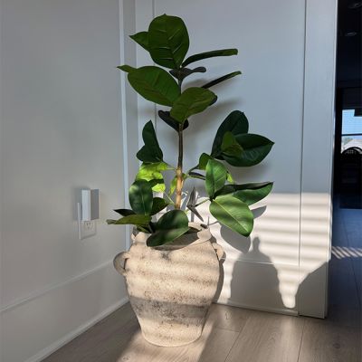 Weathered Legume Pot