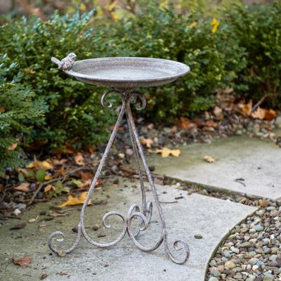 Weathered Scroll Metal Bird Bath