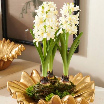 White Hyacinth Faux Drop In Plant