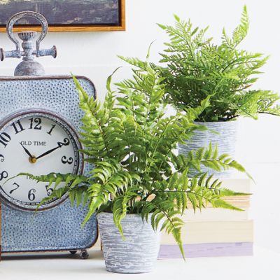 Whitewash Potted Fern Set of 2
