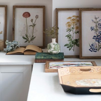 Wildflower Sketchbook Wall Art Set of 4