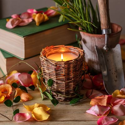 Willow Wrapped Glass Jar Candle Collection Screen Porch