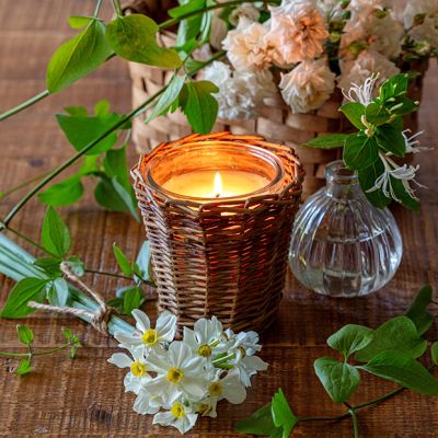 Willow Wrapped Glass Jar Candle Collection White Jonquil