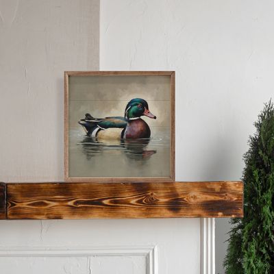 Wood Duck Portrait Framed Wall Decor