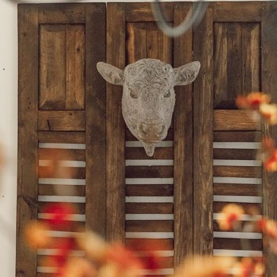 Wood Shutter Wall Decor 46 Inch