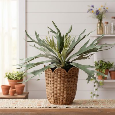 Woven Rattan Scalloped Edge Basket