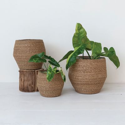 Woven Seagrass Basket Planter Set of 3