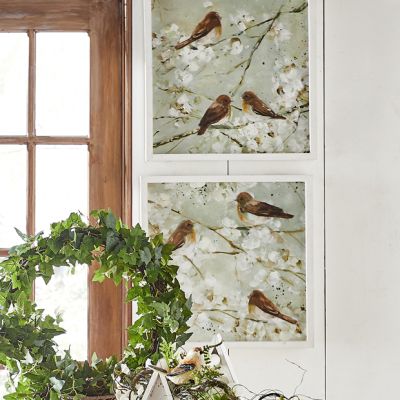 Wrens On Branches Framed Wall Art Set of 2