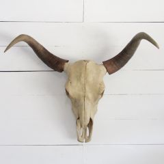 Rustic Cow Skull Wall Décor