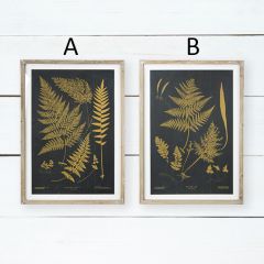 Botanical Framed Fern Print One of Each