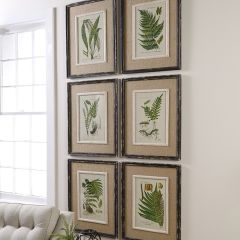 Fern Botanical Prints Framed Wall Art Set of 6