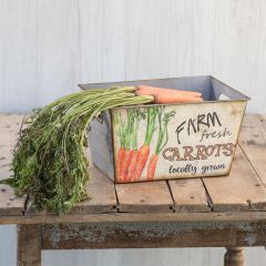 Farm Fresh Carrots Bin