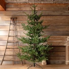 10 Foot Lighted Noble Fir Tree