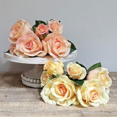 Lovely Light Rose Bundle Set of 2