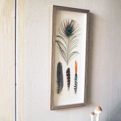 Four Feathers Framed Wall Decor