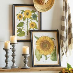 Framed Sunflower Print Set of 2
