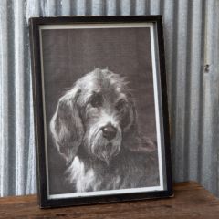Vintage Inspired Framed Dog Print