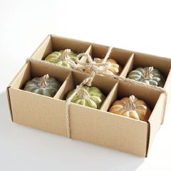 Box of Decorative Pumpkins Set of 6