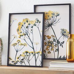 Queen Annes Lace Framed Botanical Print Set of 2