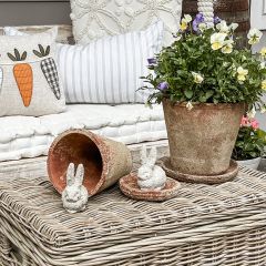 2 Piece Distressed Terra Cotta Planter With Saucer