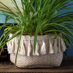 Cement Basket Style Planter with Tassels