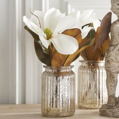 Magnolia Stem In Vase Tabletop Arrangement