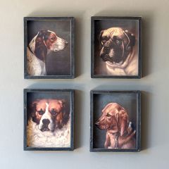 Framed Dog Breed Art Prints Set of 4