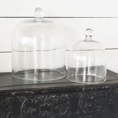 Glass Bell Jar Cloche Set of 2
