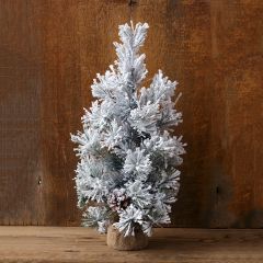 Snowy Winter Pine With Burlap Base