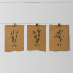 Herbs Paper Wall Hanging Collection Set of 3