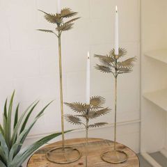 Antiqued Brass Palm Taper Candle Holder Set of 3