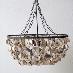 Oyster Shell Style Chandelier