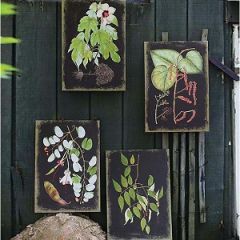 Canvas Botanical Wall Prints Set of 4 1