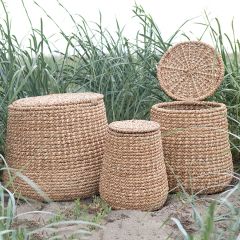 Water Hyacinth and Rattan Baskets Set of 3