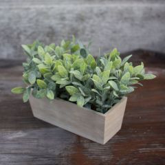 Faux Thyme In Planter Box