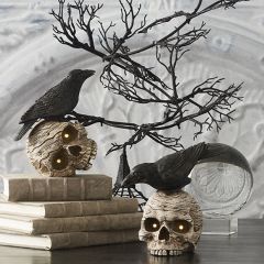 Lighted Skull And Crow Tabletop Decor Set of 2