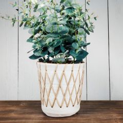 Terracotta With Rattan Planter