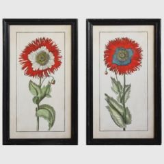 Flowers in Black Wood Frames Wall Decor Set of 2