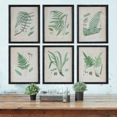 Wood Framed Wall Decor With Ferns Set of 6