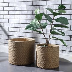 Cement Basket Planter Pots Set of 2