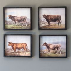 Framed Cow Print Collection Set of 4