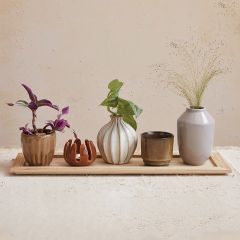 5 Piece Stoneware Vase Collection on Wood Tray