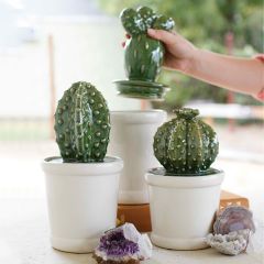 Ceramic Canister With Cactus Lid Set of 3