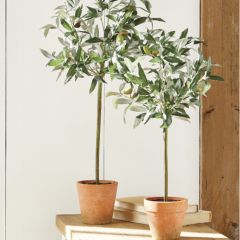 Potted Artificial Olive Tree 21 Inch