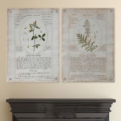 Botanical Diagram Canvas Wall Art Set of 2