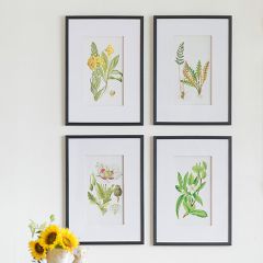Framed Botanical Art Prints Set of 4