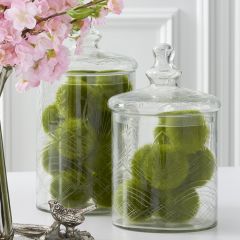 Etched Glass Lidded Canisters Set of 2